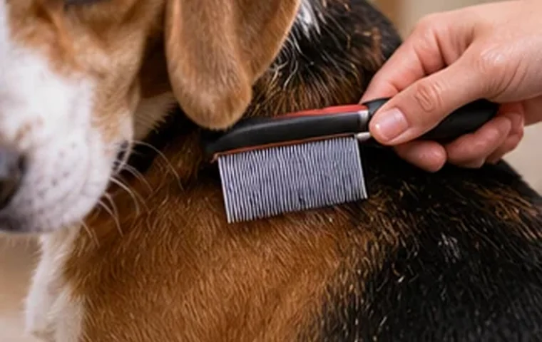 Illustrative dog-care photograph: What to record before calling the veterinarian; verify actual product instructions