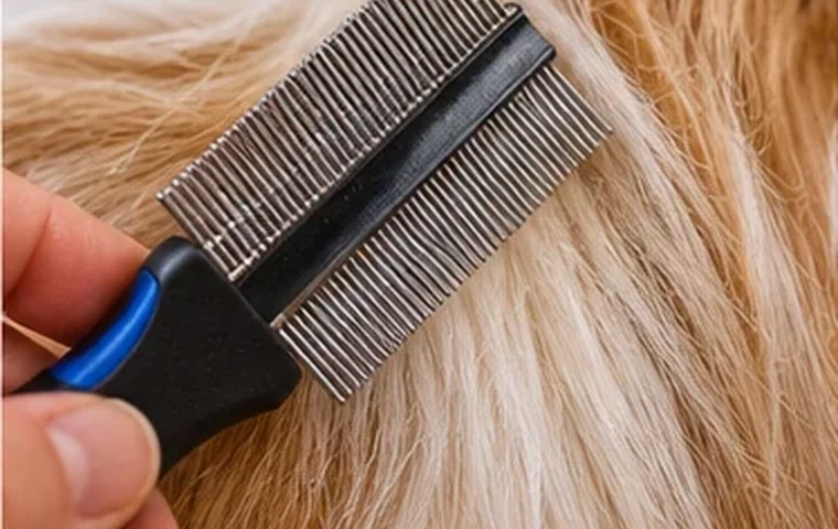 Illustrative dog-care photograph: Two-Row Teeth Are Not a Substitute for Reach; verify actual product instructions