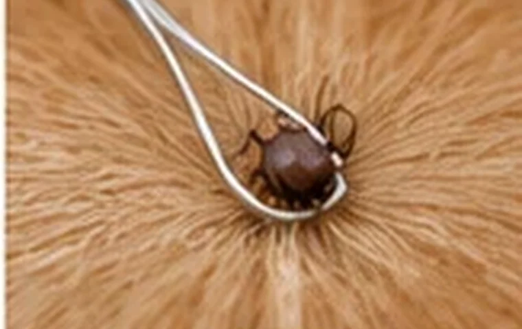 Illustrative dog-care photograph: Returning the kit to service; verify actual product instructions