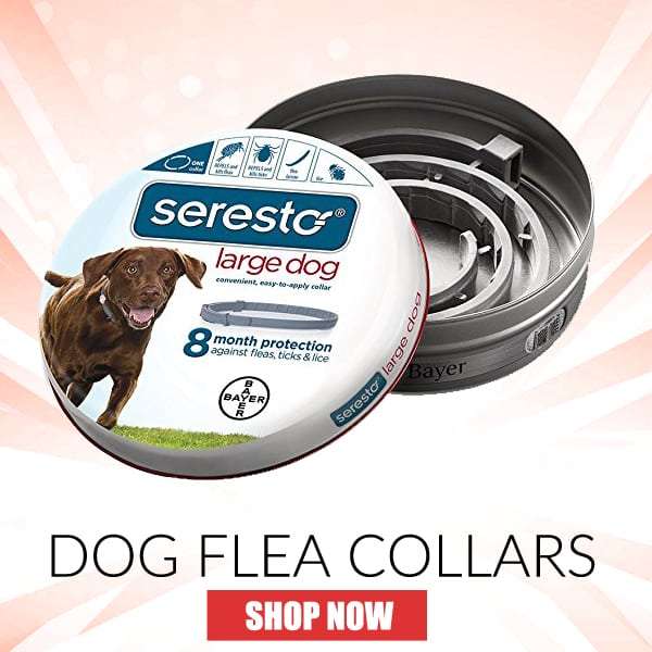 Shoo Tag For Dogs, Shoo Tag For Dogs