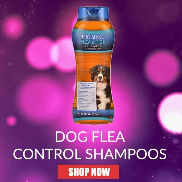 Shoo Tag For Dogs, Shoo Tag For Dogs