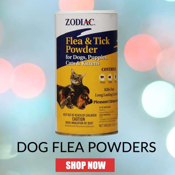 Shoo Tag For Dogs, Shoo Tag For Dogs