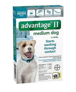 Bayer Advantage II, Dog, 11-20 lbs, 6 month Treatment