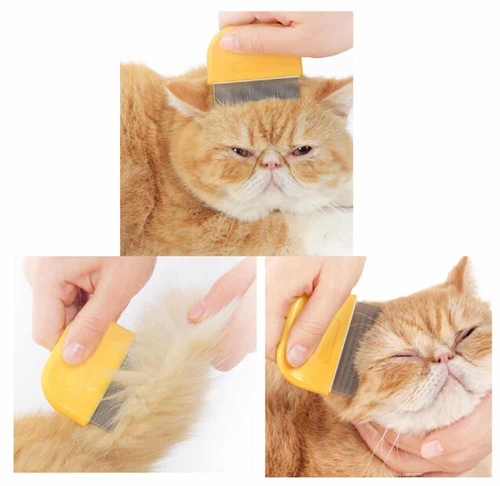 Mini Fashion Grooming Comb For Dogs Cats Pet Flea Combs Sky BLUE