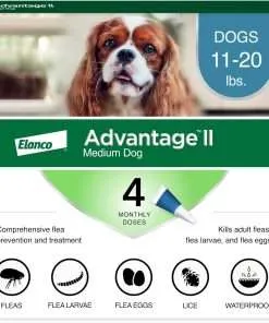 Advantage II Medium Dog Vet-Recommended Flea Treatment & Prevention - Dogs 11-20 lbs. - 4-Month Supply - 1