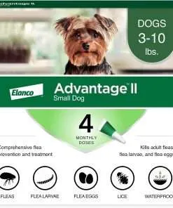 Advantage II Small Dog Vet-Recommended Flea Treatment & Prevention - Dogs 3-10 lbs. - 4-Month Supply - 1