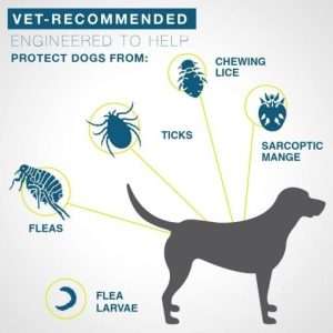 8-Month Flea and Tick Collar for Large Dogs 1