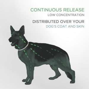 8-Month Protection Dog Flea Collars 1