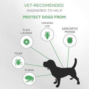 8-Month Protection Dog Flea Collars 1