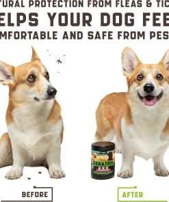 Flea and Tick Prevention Chewable for Dogs - No Collars, No Mess - Easy Help with Flea and Tick for Dogs - American Quality - for All Breeds and Ages - Duck-Flavored Treats - 2