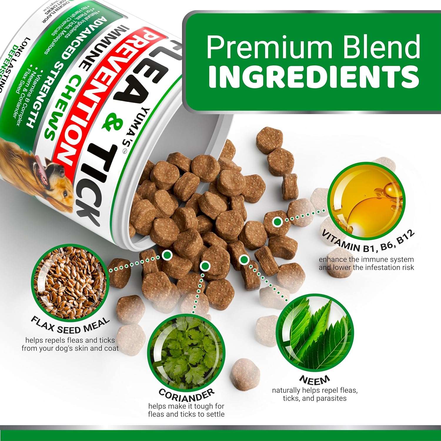 Flea and Tick Prevention for Dogs Chewables - 170 Treats - Natural Dog Flea and Tick Treatment Chewable - Flea and Tick Chews for Dogs - Soft Oral Flea Pills for Dogs - All Breeds & Ages - 3