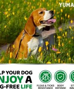 Flea and Tick Prevention for Dogs Chewables - 170 Treats - Natural Dog Flea and Tick Treatment Chewable - Flea and Tick Chews for Dogs - Soft Oral Flea Pills for Dogs - All Breeds & Ages - 4