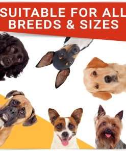 Natural Flea & Tick Prevention for Dogs Chewable Tablets - Flea & Tick Control Supplement - Oral Flea Pills for Dogs - All Breeds and Ages - Soft Chews Made in USA - 7