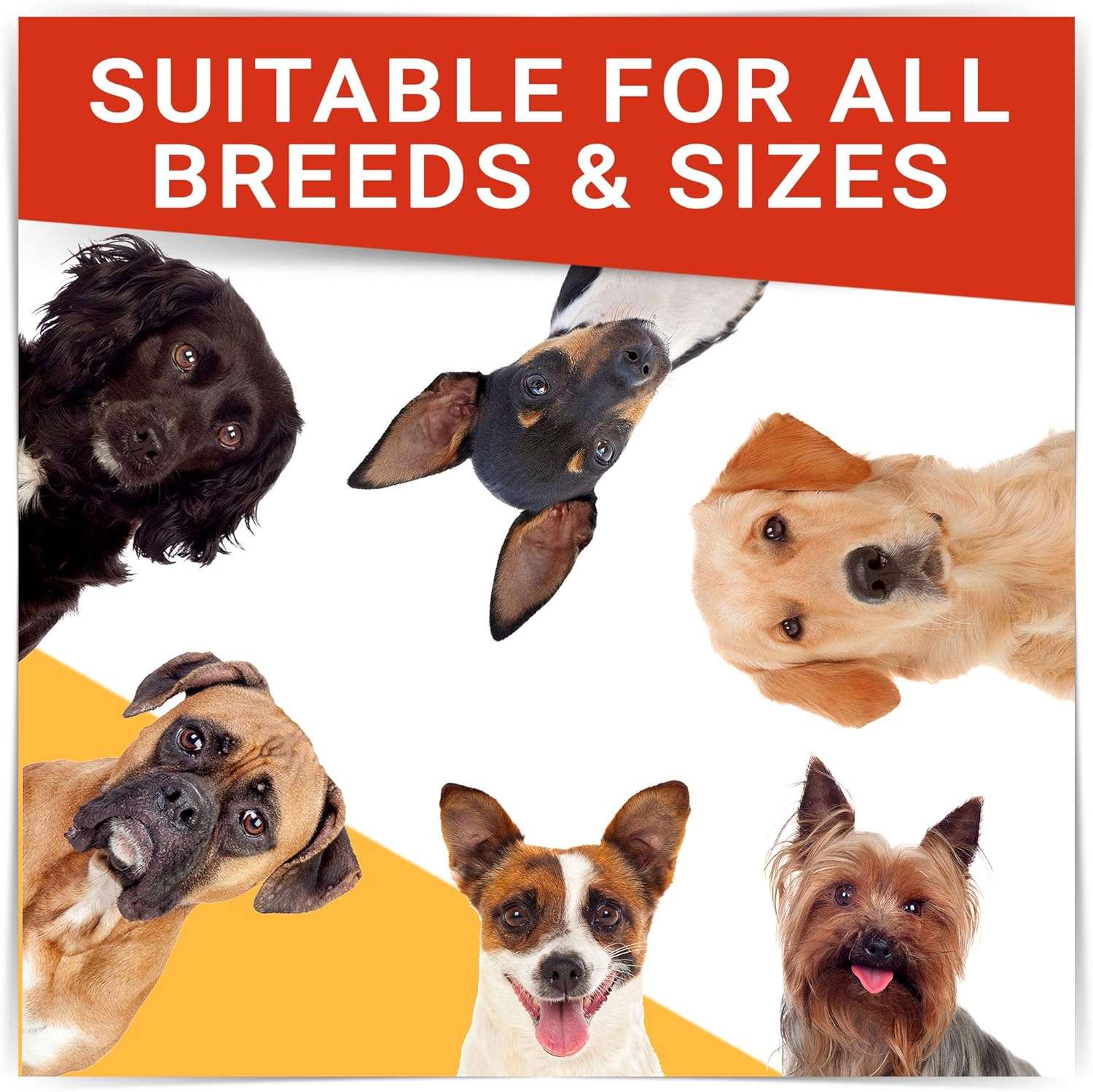 Natural Flea & Tick Prevention for Dogs Chewable Tablets - Flea & Tick Control Supplement - Oral Flea Pills for Dogs - All Breeds and Ages - Soft Chews Made in USA - 7