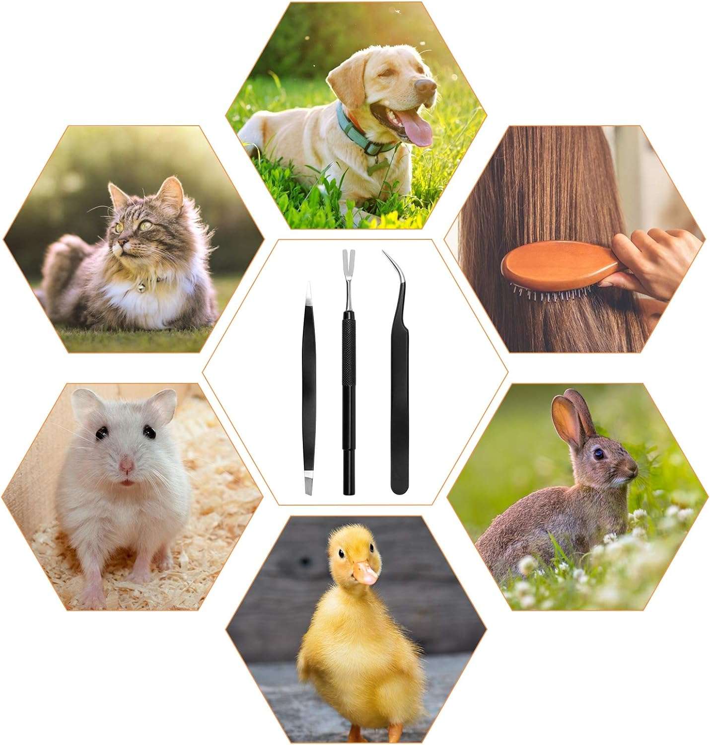 COITEK 3 in 1 Tick Remover Kit, Black Tick Remover Tweezers Stainless Steel Tick Remover Tools Set for Pet Dog, Cat, Human with Storage Box (Black) - 7