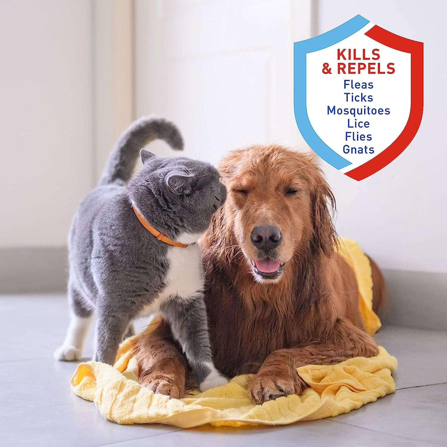 Adams Plus Pyrethrin Dip For Dogs and Cats - Kills and Repels Fleas, Ticks, Lice, Gnats, Mosquitoes and Flies - 4 Fl Oz - 2