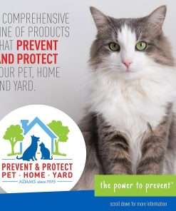Adams Plus Pyrethrin Dip For Dogs and Cats - Kills and Repels Fleas, Ticks, Lice, Gnats, Mosquitoes and Flies - 4 Fl Oz - 6