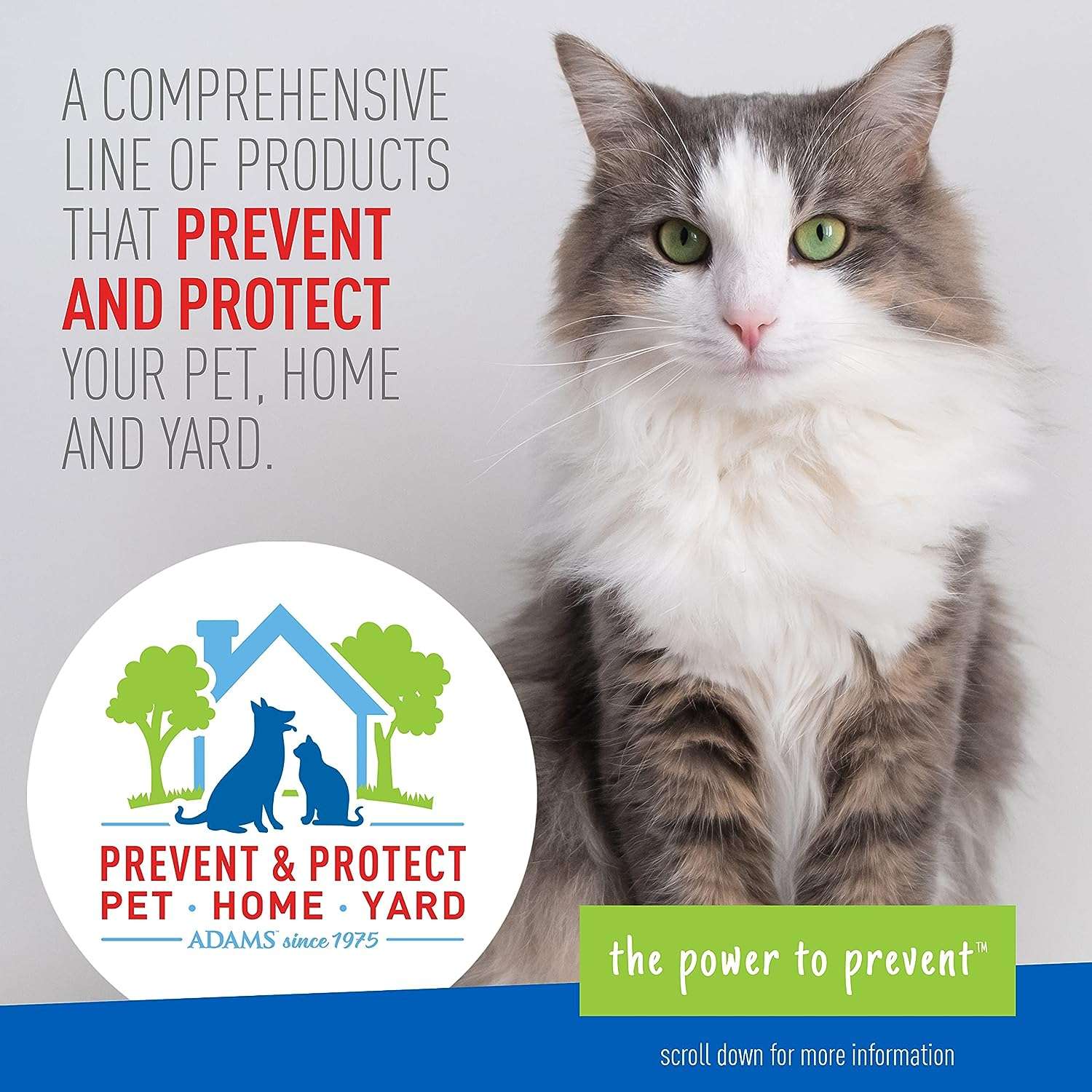 Adams Plus Pyrethrin Dip For Dogs and Cats - Kills and Repels Fleas, Ticks, Lice, Gnats, Mosquitoes and Flies - 4 Fl Oz - 6