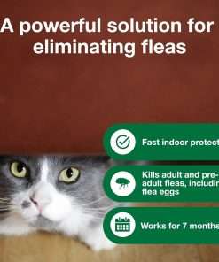 Advantage Household Fogger - Kills Fleas & Ticks - Flea Fogger for Home - 2 oz. Canisters (Pack of 3) - 3