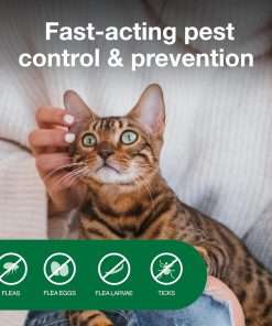 Advantage Household Fogger - Kills Fleas & Ticks - Flea Fogger for Home - 2 oz. Canisters (Pack of 3) - 4