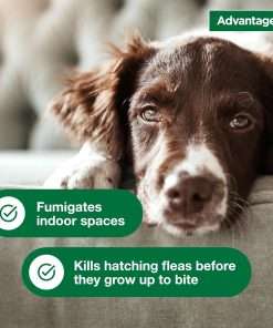 Advantage Household Fogger - Kills Fleas & Ticks - Flea Fogger for Home - 2 oz. Canisters (Pack of 3) - 5