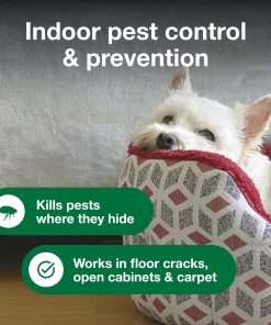 Advantage Household Fogger - Kills Fleas & Ticks - Flea Fogger for Home - 2 oz. Canisters (Pack of 3) - 6