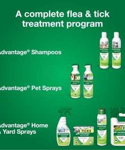 Advantage Household Fogger - Kills Fleas & Ticks - Flea Fogger for Home - 2 oz. Canisters (Pack of 3) - 8