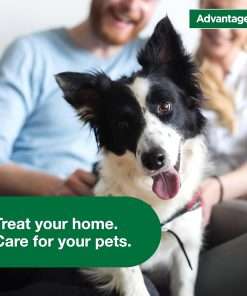 Advantage Household Fogger - Kills Fleas & Ticks - Flea Fogger for Home - 2 oz. Canisters (Pack of 3) - 9