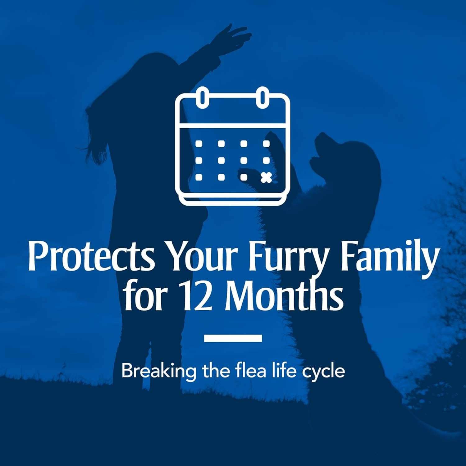 PETARMOR Home Carpet Powder for Fleas and Ticks, Protect Your Home From Fleas and Deodorizes Carpets, 16 Ounce - 3