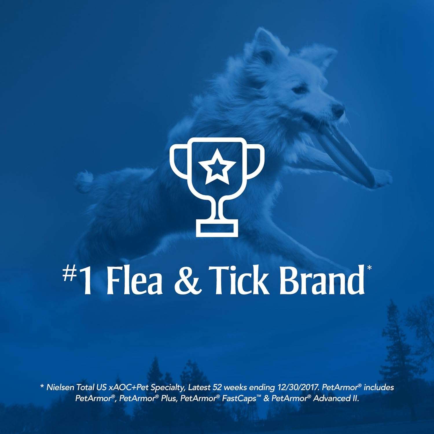 PETARMOR Home Carpet Powder for Fleas and Ticks, Protect Your Home From Fleas and Deodorizes Carpets, 16 Ounce - 5