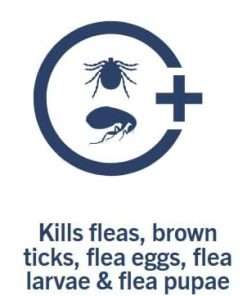 Shoo Tag For Dogs, Shoo Tag For Dogs