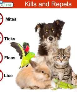 Pet Protector by Premo Guard 16 oz – 100% Effective Mite, Flea, Tick, & Mosquito Spray for Dogs, Cats, and Pets – Best Natural Protection for Control, Prevention, & Treatment - 3
