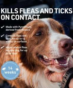 Veterinary Formula Flea and Tick Spray for Dogs, 8 oz – Easy-to-Use Dog Flea Spray, Kills on Contact, Prevents Egg & Larval Development for 14 weeks - 3