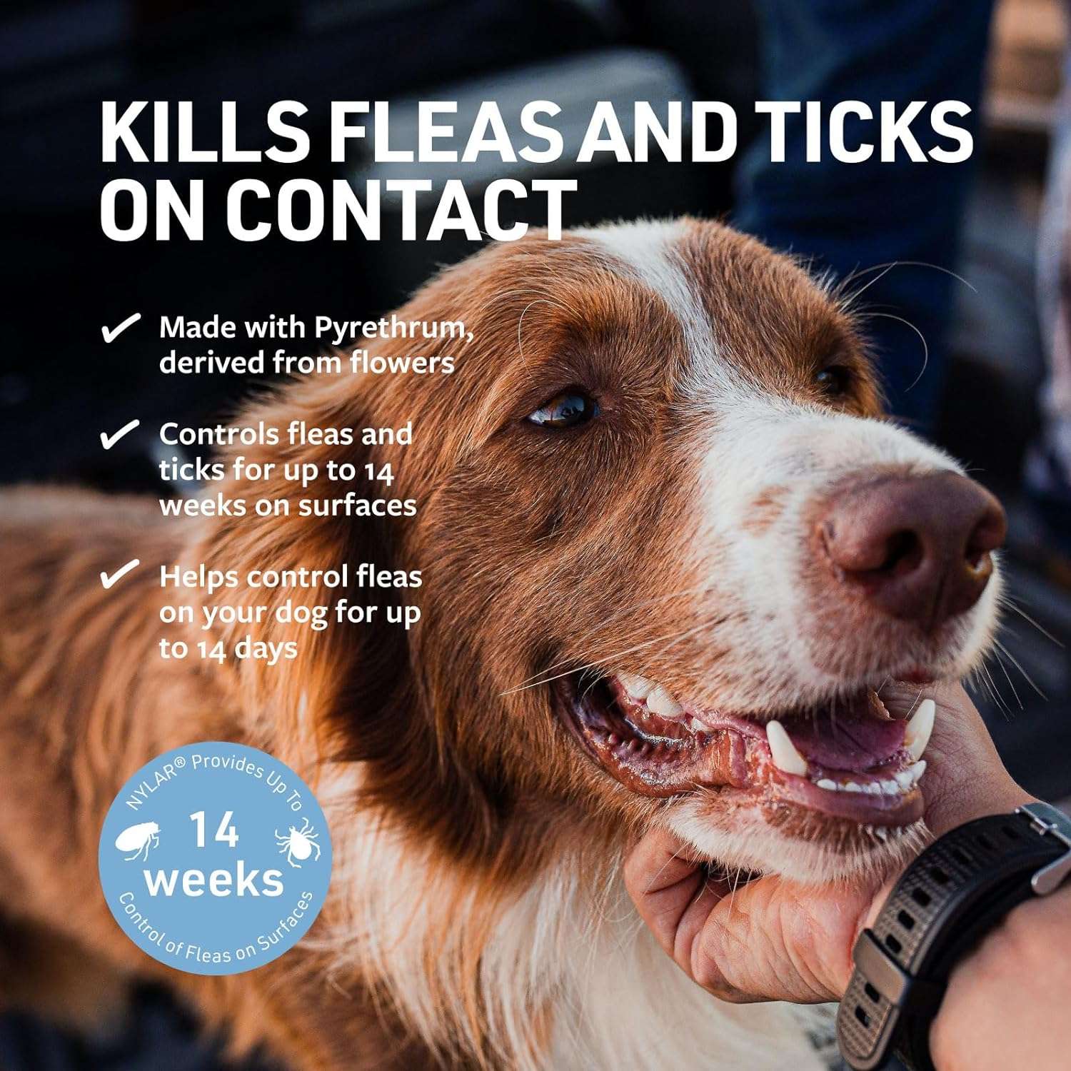Veterinary Formula Flea and Tick Spray for Dogs, 8 oz – Easy-to-Use Dog Flea Spray, Kills on Contact, Prevents Egg & Larval Development for 14 weeks - 3