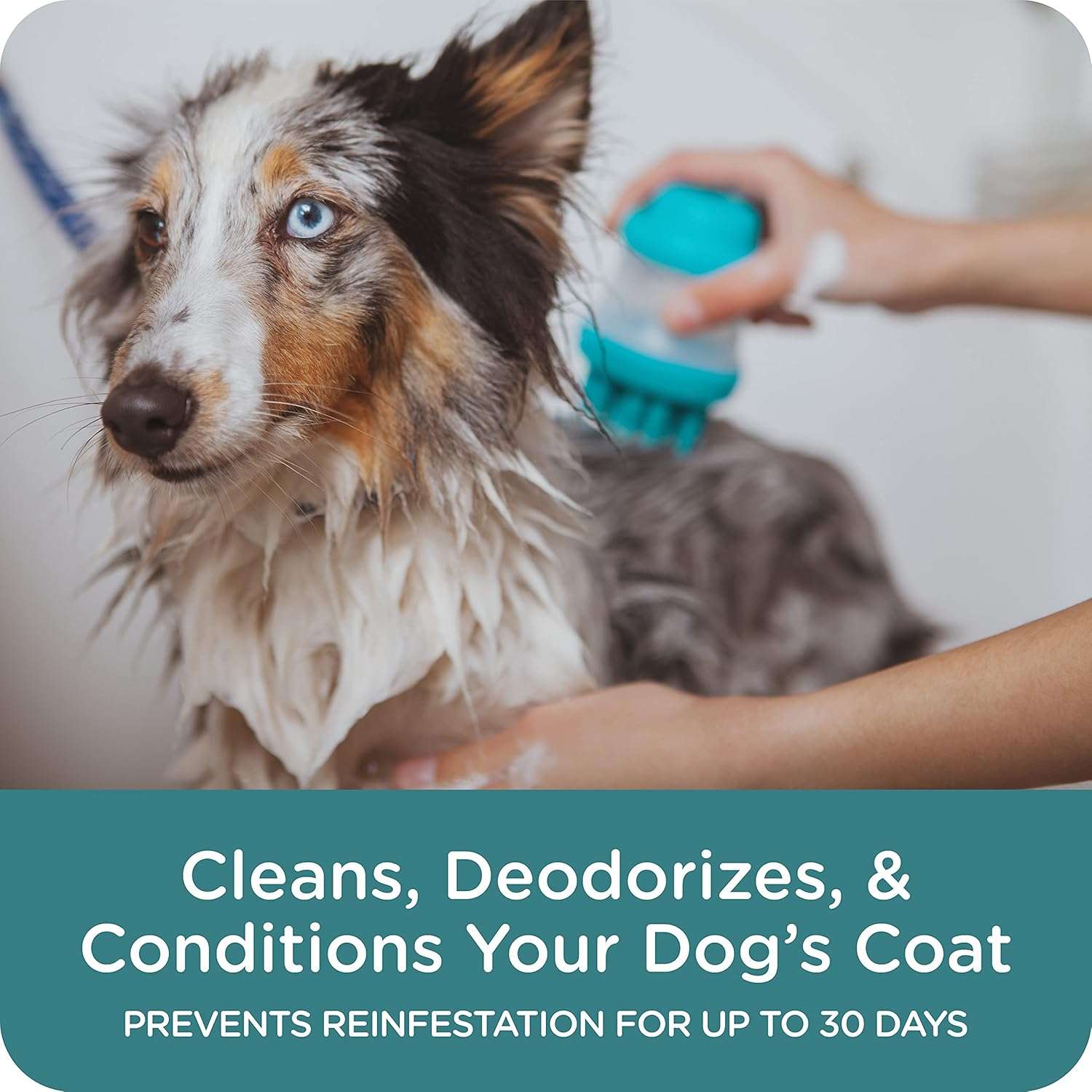 Sergeant's Guardian Pro Flea & Tick Dog Shampoo in Spring Freesia, 18 oz., 00103 - 4