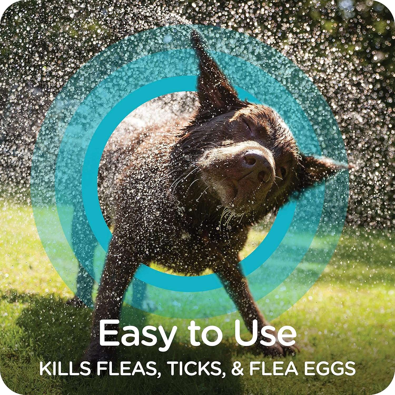 Sergeant's Guardian Pro Flea & Tick Dog Shampoo in Spring Freesia, 18 oz., 00103 - 5