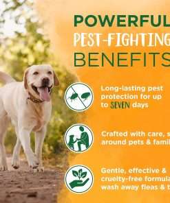 TropiClean Maximum Strength Natural Flea and Tick Dog Shampoo for Flea and Tick Prevention for Dogs - Made in the USA - 20 oz - 6