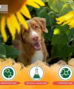 TropiClean Maximum Strength Natural Flea and Tick Dog Shampoo for Flea and Tick Prevention for Dogs - Made in the USA - 20 oz - 7