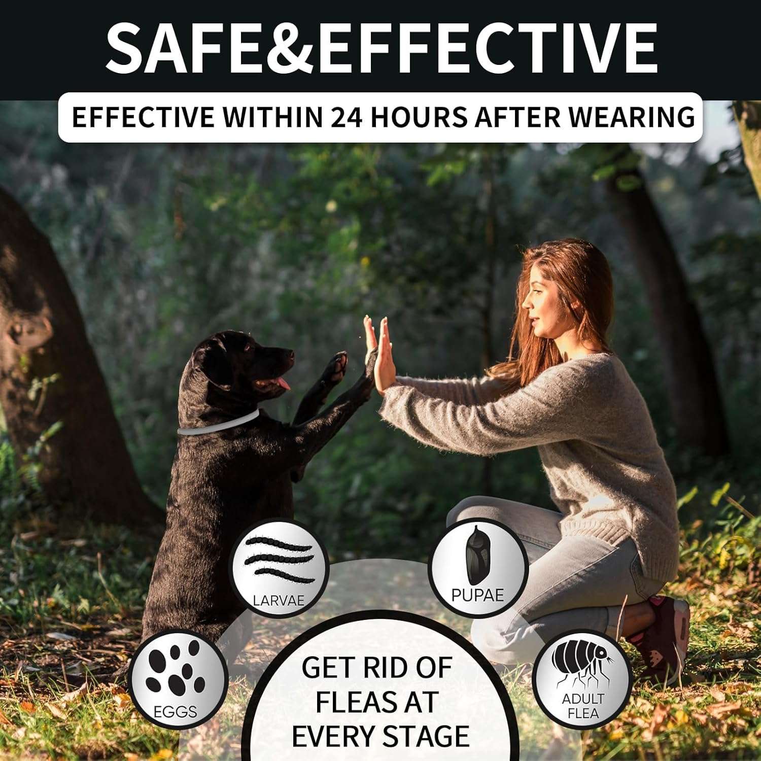 4 Pack Flea Collar for Dogs, Dog Flea and Tick Collar 32 Months Flea and Tick Treatment for Dog, Waterproof Adjustable Dog Flea and Tick Prevention Collar for Small Medium Large Dog Puppy - 3