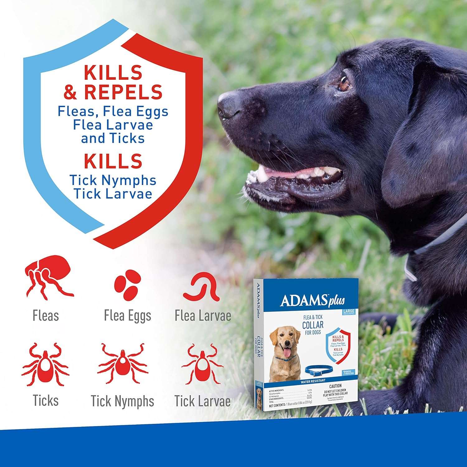 Adams Plus Flea & Tick Collar for Dogs, 7-Month Protection, Adjustable Collar Fits Large Dogs & Puppies, Kills & Repels Fleas, Flea Eggs, Flea Larvae and Ticks, Kills Tick Larvae and Tick Nymphs, Blue - Image 8