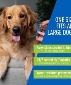 Adams Plus Flea & Tick Collar for Dogs, 7-Month Protection, Adjustable Collar Fits Large Dogs & Puppies, Kills & Repels Fleas, Flea Eggs, Flea Larvae and Ticks, Kills Tick Larvae and Tick Nymphs - 3