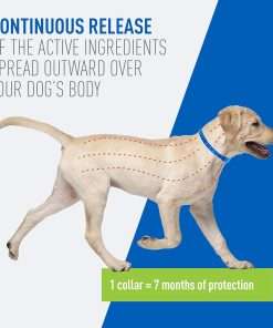 Adams Plus Flea & Tick Collar for Dogs, 7-Month Protection, Adjustable Collar Fits Large Dogs & Puppies, Kills & Repels Fleas, Flea Eggs, Flea Larvae and Ticks, Kills Tick Larvae and Tick Nymphs - 4