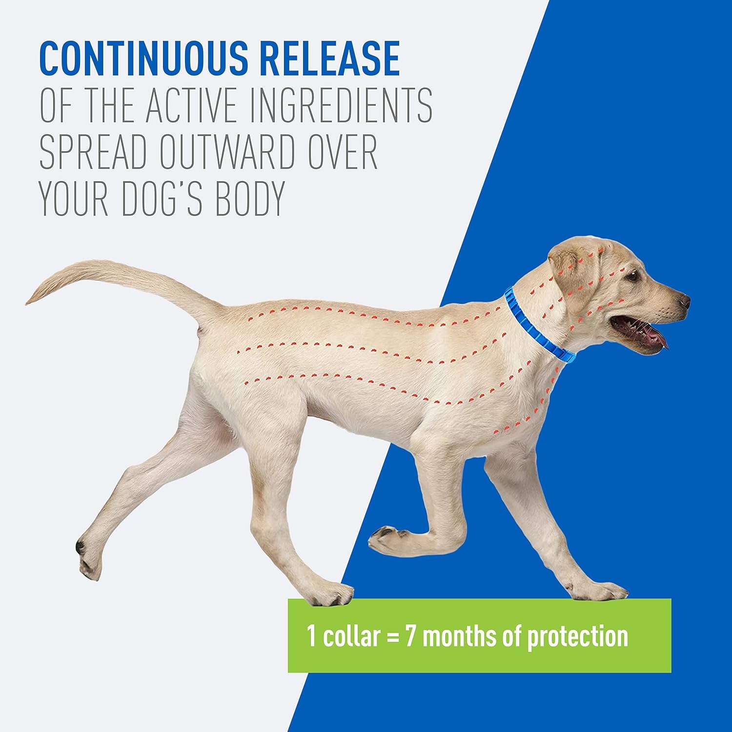 Adams Plus Flea & Tick Collar for Dogs, 7-Month Protection, Adjustable Collar Fits Large Dogs & Puppies, Kills & Repels Fleas, Flea Eggs, Flea Larvae and Ticks, Kills Tick Larvae and Tick Nymphs - 4