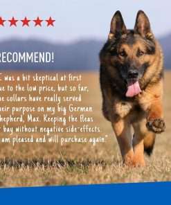 Adams Plus Flea & Tick Collar for Dogs, 7-Month Protection, Adjustable Collar Fits Large Dogs & Puppies, Kills & Repels Fleas, Flea Eggs, Flea Larvae and Ticks, Kills Tick Larvae and Tick Nymphs - 7