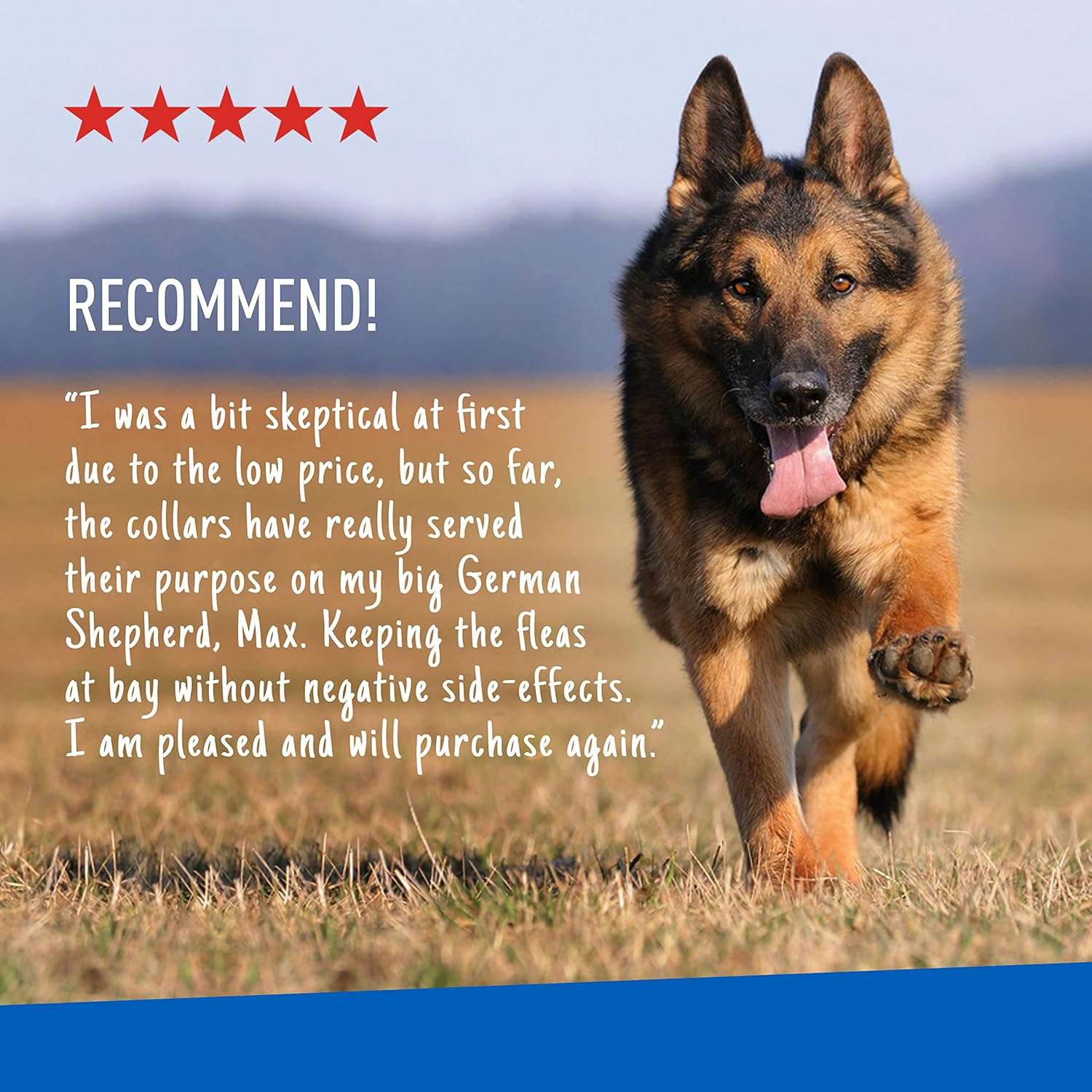 Adams Plus Flea & Tick Collar for Dogs, 7-Month Protection, Adjustable Collar Fits Large Dogs & Puppies, Kills & Repels Fleas, Flea Eggs, Flea Larvae and Ticks, Kills Tick Larvae and Tick Nymphs - 7