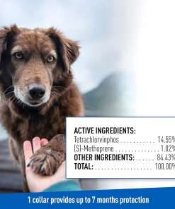 Adams Plus Flea & Tick Collar for Dogs, 7-Month Protection, Adjustable Collar Fits Large Dogs & Puppies, Kills & Repels Fleas, Flea Eggs, Flea Larvae and Ticks, Kills Tick Larvae and Tick Nymphs - 8