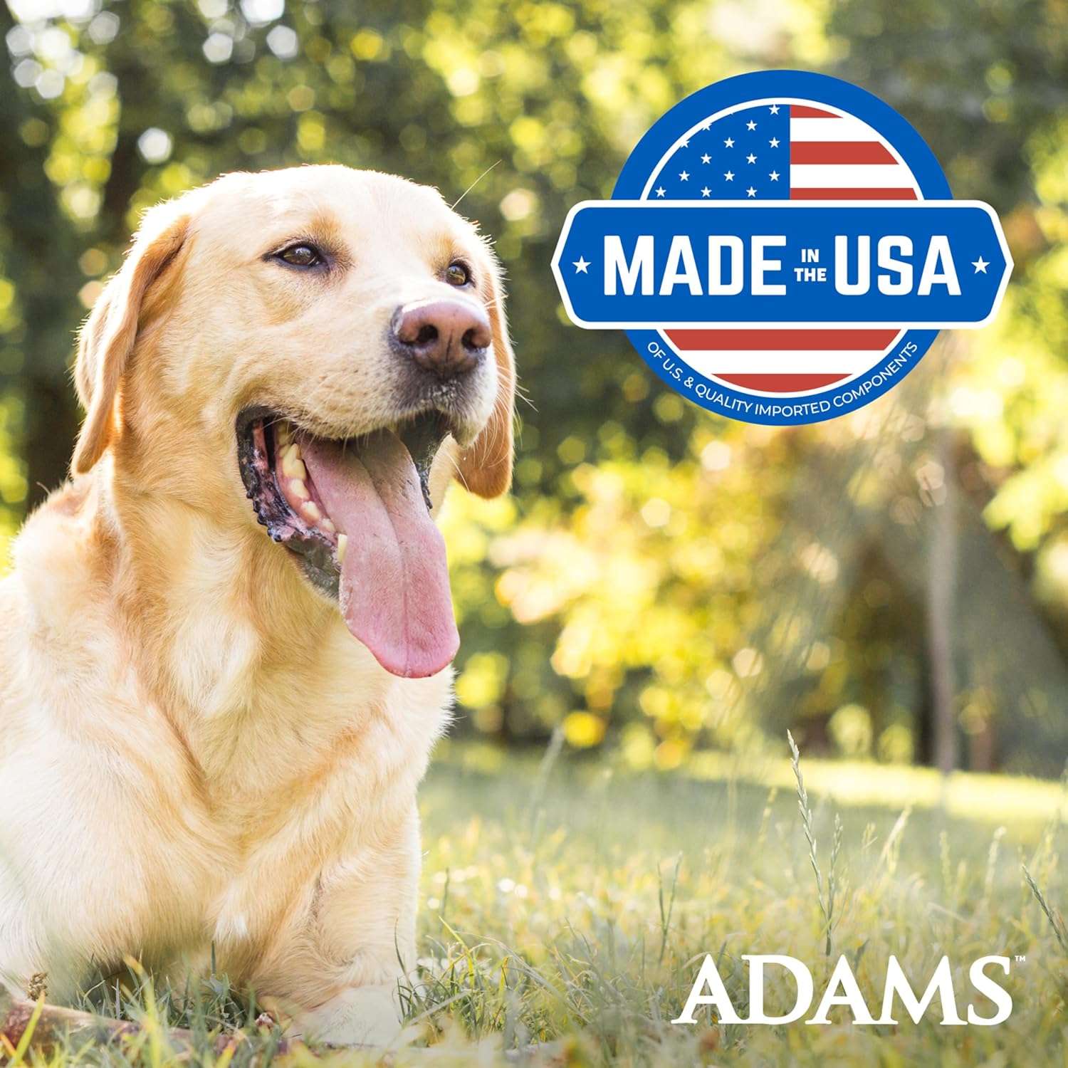 Adams Plus Flea & Tick Collar for Dogs, 7-Month Protection, Adjustable Collar Fits Large Dogs & Puppies, Kills & Repels Fleas, Flea Eggs, Flea Larvae and Ticks, Kills Tick Larvae and Tick Nymphs - 9