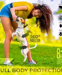 Flea and Tick Prevention for Dogs - Flea Collar - 4 Count - 2