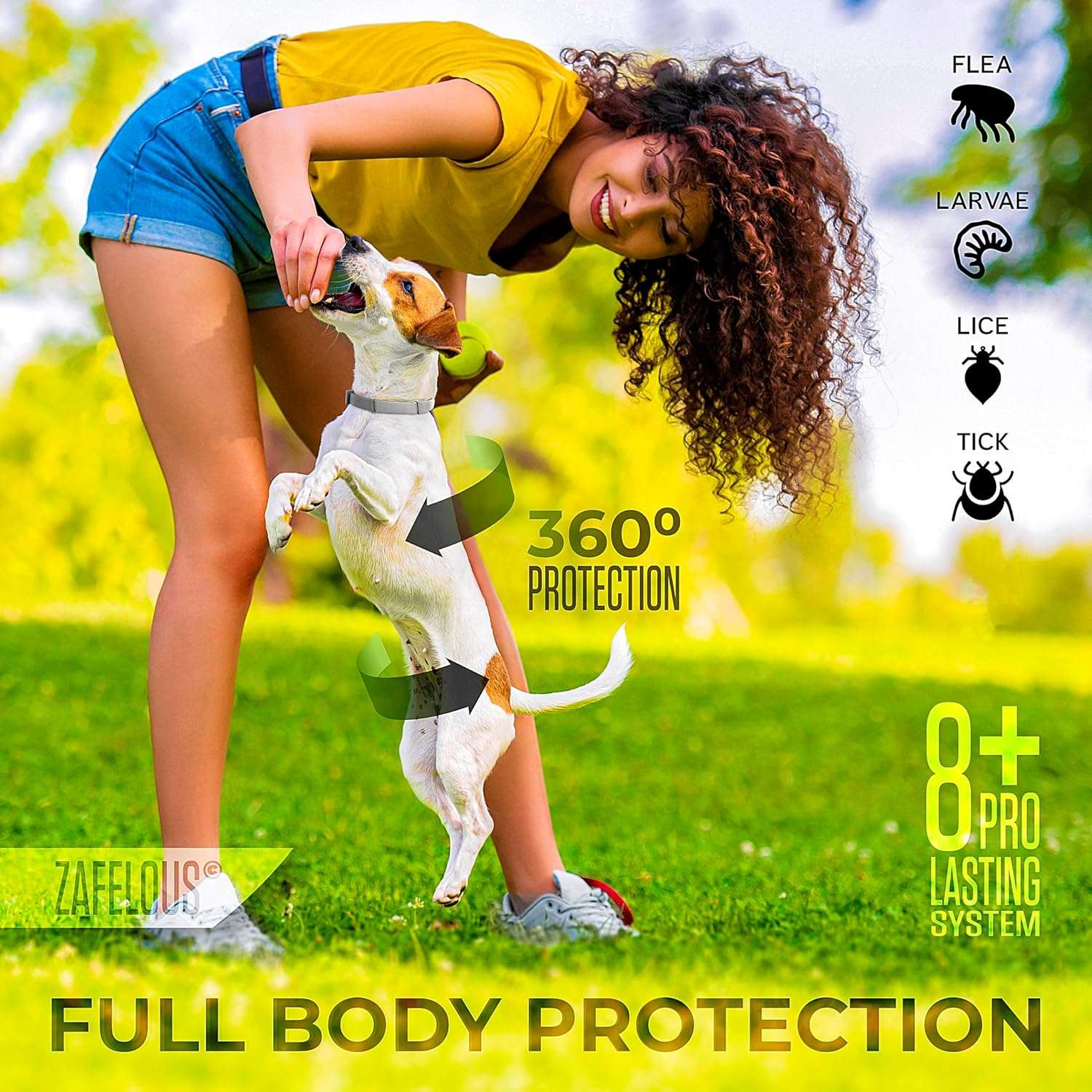 Flea and Tick Prevention for Dogs - Flea Collar - 4 Count - 2