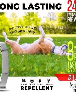 Flea and Tick Prevention for Dogs - Flea Collar - 4 Count - 3